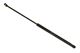 Stabilus Lift Support SG315007 for Trunk/Hatch
