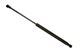 Stabilus Lift Support SG387004 for Hood