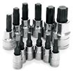 12pc Star Bit Socket Set