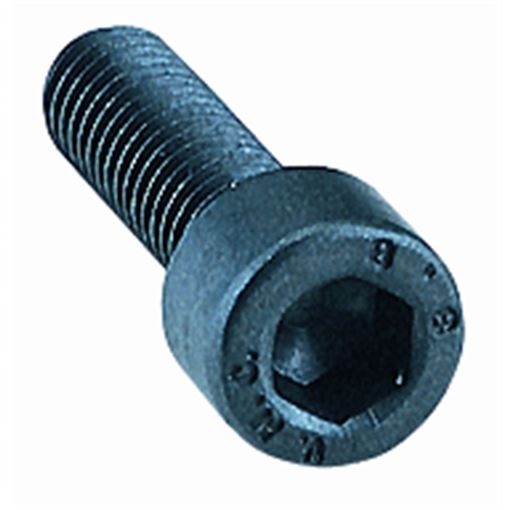 Allen Head Screw 6mm Thread X 35mm Long (10 Ea)