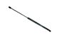 Stabilus Lift Support SG218009 for Trunk/Hatch