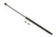 Stabilus Lift Support SG225007 for Trunk/Hatch