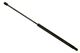 Stabilus Lift Support SG230001 for Trunk/Hatch