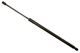 Stabilus Lift Support SG230118 for Trunk/Hatch