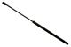 Stabilus Lift Support SG250007 for Hood