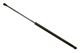 Stabilus Lift Support SG267014 for Trunk/Hatch