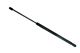 Stabilus Lift Support SG304010 for Hood