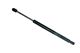Stabilus Lift Support SG304070 for Hood