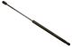 Stabilus Lift Support SG314066 for Trunk/Hatch