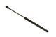 Stabilus Lift Support SG325015 for Hood