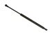 Stabilus Lift Support SG325019 for Hood