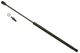 Stabilus Lift Support SG326001 for Trunk/Hatch