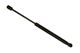 Stabilus Lift Support SG326009 for Hood