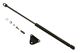 Stabilus Lift Support SG327001 for Hood