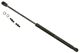 Stabilus Lift Support SG329005 for Trunk/Hatch