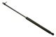 Stabilus Lift Support SG329033 for Trunk/Hatch