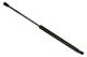 Stabilus Lift Support SG330048 for Trunk/Hatch
