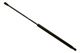 Stabilus Lift Support SG350007 for Hood