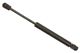 Stabilus Lift Support SG430029 for Trunk/Hatch
