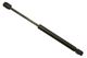 Stabilus Lift Support SG430074 for Trunk/Hatch