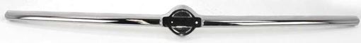 Bumper Trim, Altima 98-99 Front Bumper Molding, Chrome, Plastic, Replacement 12805