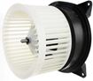 Ford Blower Motor | Replacement RBF191511