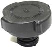 BMW Coolant Reservoir Cap Replacement | Replacement REPB161801