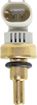 Pontiac, Chevrolet Coolant Temperature Sensor | Replacement RC31280001