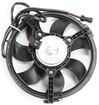 Audi, Volkswagen Cooling Fan Assembly-Single fan, Radiator Fan | Replacement A160902