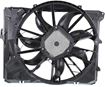 BMW Cooling Fan Assembly-Single fan, Radiator Fan | Replacement REPB160702