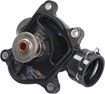 BMW Thermostat | Replacement RB31800001