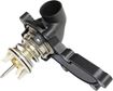 Audi Front Thermostat | Replacement REPA318006