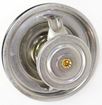 BMW Thermostat-Stainless Steel | Replacement REPB318001