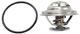 BMW Thermostat-Stainless Steel | Replacement REPB318004