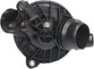 BMW Thermostat | Replacement REPB318013