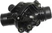 BMW Thermostat | Replacement REPB318013