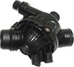 BMW Thermostat | Replacement REPB318013