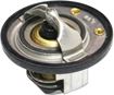 Chevrolet, GMC Thermostat-Stainless Steel | Replacement REPC318004