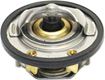Chevrolet, GMC Thermostat-Stainless Steel | Replacement REPC318004