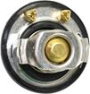 Chevrolet, GMC Thermostat-Stainless Steel | Replacement REPC318004