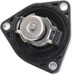 Toyota, Lexus Thermostat-Black | Replacement REPT318004