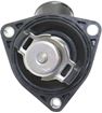 Toyota, Lexus Thermostat-Black | Replacement REPT318004