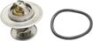 Volvo Thermostat | Replacement REPV318006