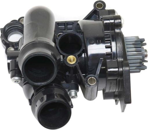 Audi, Volkswagen Water Pump-Mechanical | Replacement REPA313517