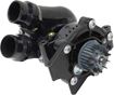 Audi, Volkswagen Water Pump-Mechanical | Replacement REPA313517
