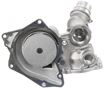 Land Rover, BMW Water Pump-Mechanical | Replacement REPB313505