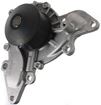 Dodge, Mitsubishi, Chrysler Water Pump-Mechanical | Replacement REPD313505