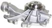 Ford, Mercury Water Pump-Mechanical | Replacement REPF313510