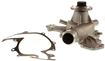 Ford, Mercury, Mazda Water Pump-Mechanical | Replacement REPF313518