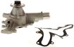 Ford, Mercury, Mazda Water Pump-Mechanical | Replacement REPF313518